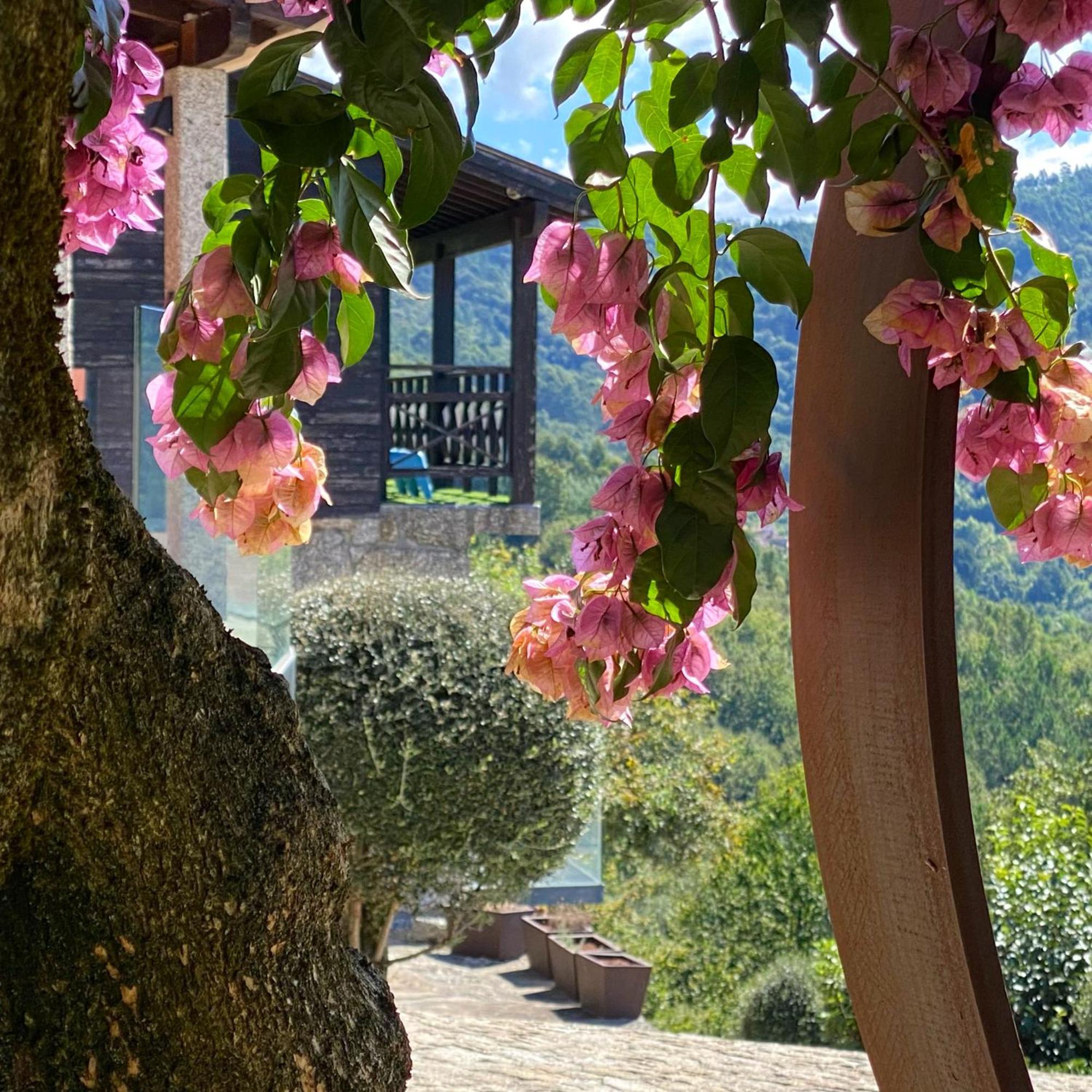 Quinta Cercas Da Costa Villa Vieira do Minho Exteriör bild